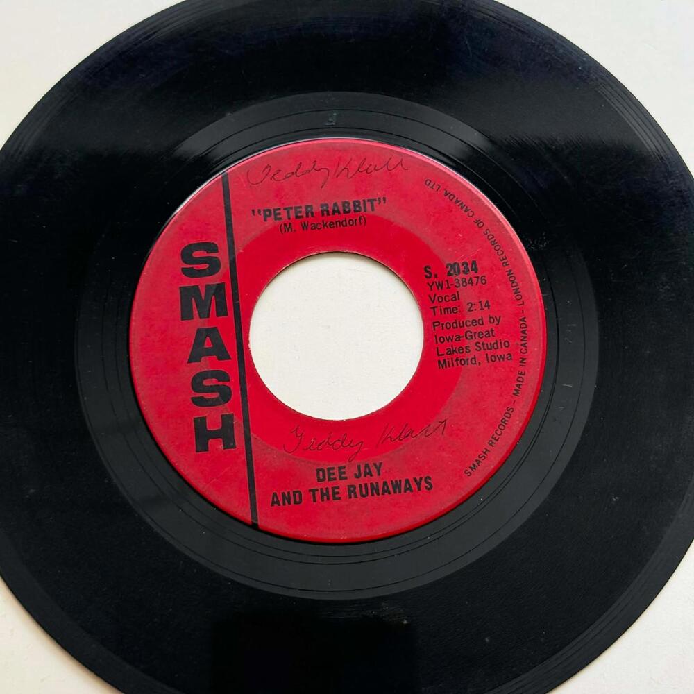 Dee Jay and the Runaways - Are you Ready/Peter Rabbit 45rpm VG+ R23